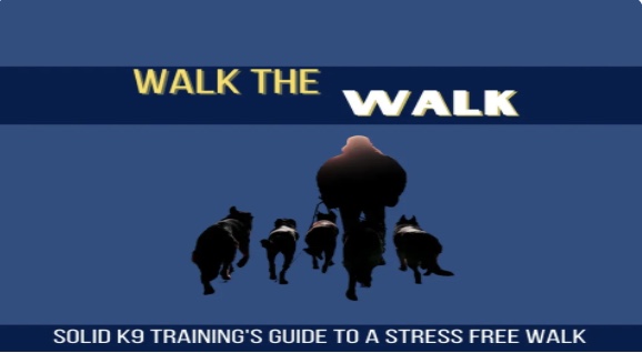 Silhouette of a person walking four dogs against a blue background with the text 